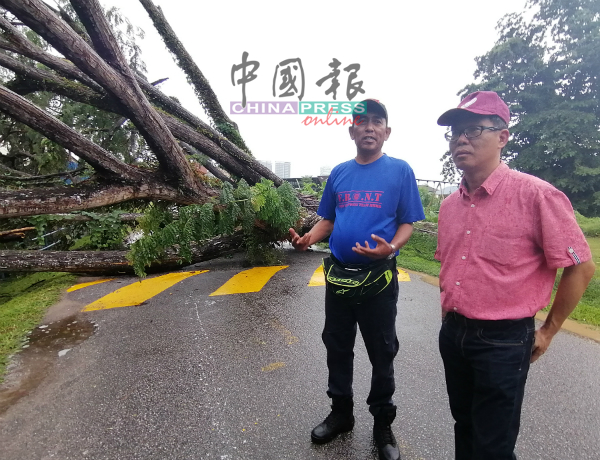 先锋队队员阿都拉萨（左）向刘志良汇报树倒情况。