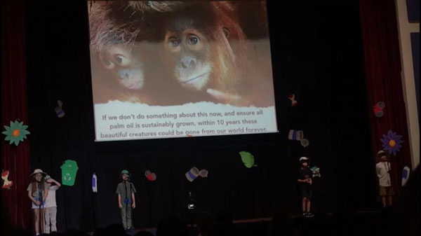 吉隆坡某国际学校的学生在表演时，指种植油棕导致人猿失去家园并逐渐消失。