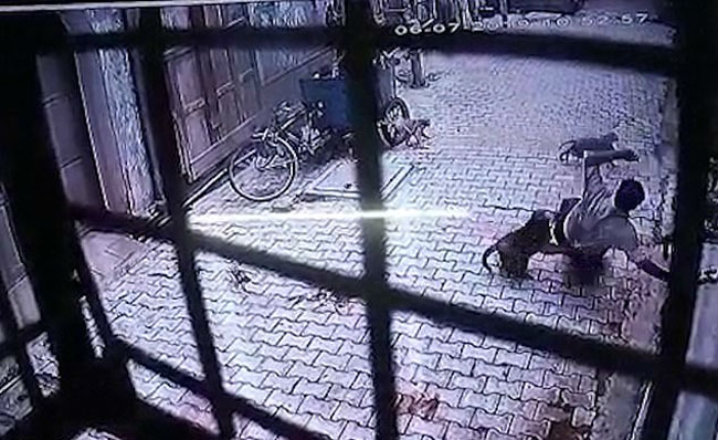 男子遭猴子袭击，扑倒在地上。