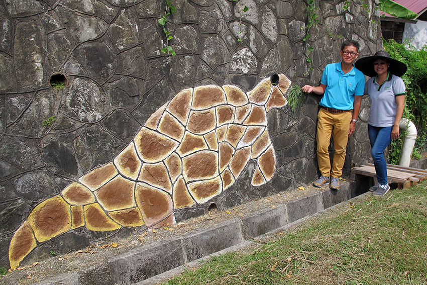 赖昭光（左）在村民住家石墙上，利用墙上不规则的石头条纹，画上美丽的海龟。右为郑进蕊。