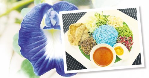 大厨上菜《蓝花饭Nasi Kerabu 香料饭》