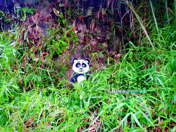 草丛中的熊猫让人难以察觉。