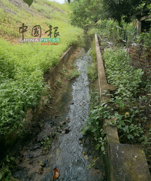 位于化粪池下方的排水沟，成为污水唯一出口。