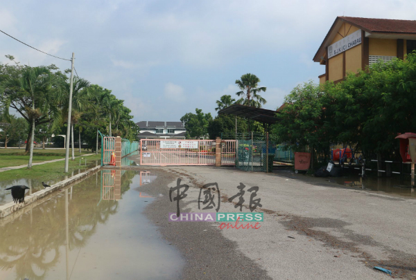 招茂学校外的沟水满，但学校范围内并没淹水。