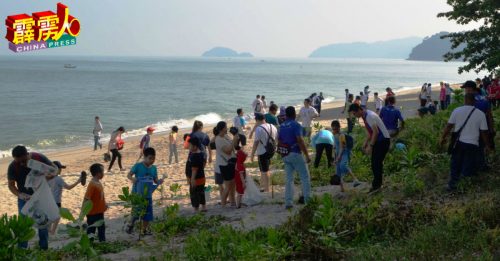 曼绒海龟节吸引数百人洁滩植树