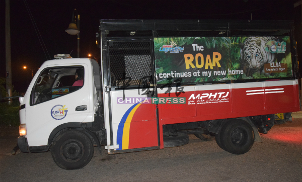 载着濒临绝种的孟加拉白虎艾莎公主的卡车，抵达马六甲动物园。