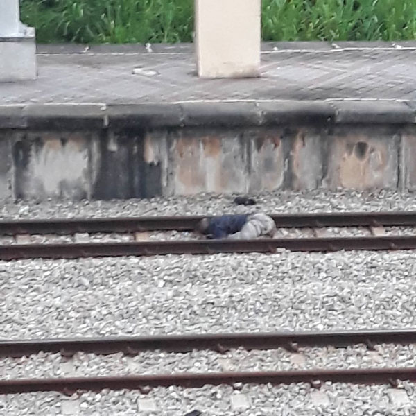 死者跳下火车站铁轨，遭迎面而来的火车辗过，伤重不治。
