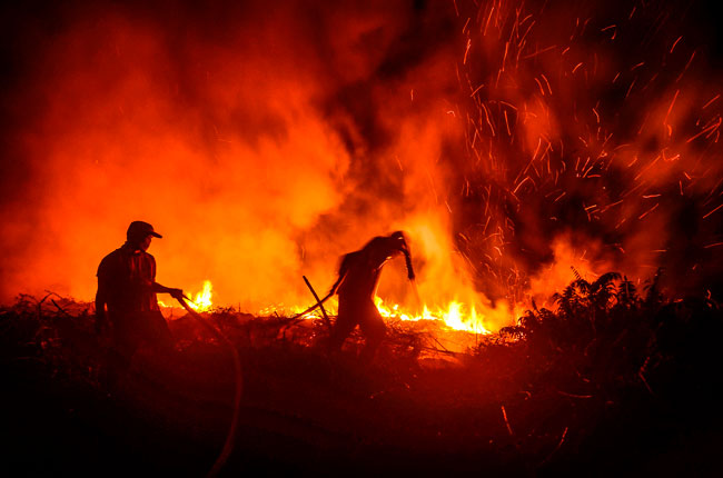 印尼今年林火势头格外猛烈。