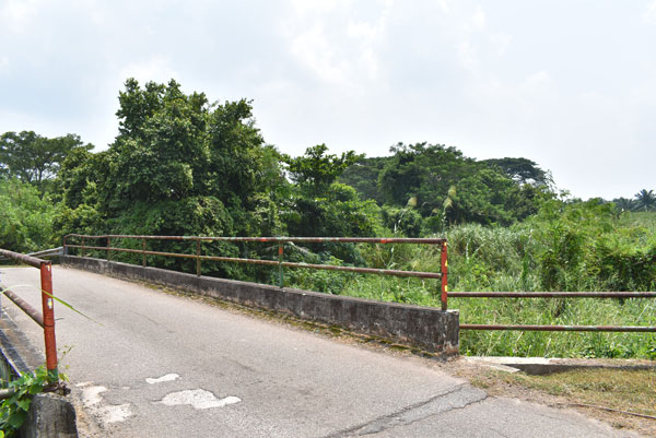 此桥梁是唯一进入森合花园内的路口，居民不愿在主要路口处看见殡仪馆。