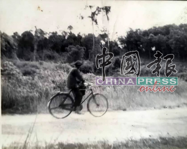 刘火山当年骑脚踏车巡视榴梿园。