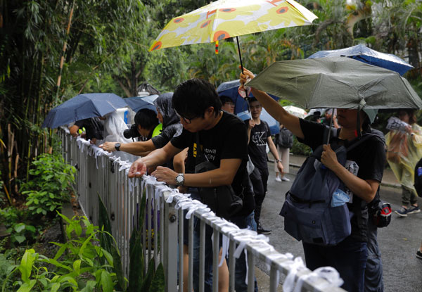 游行人士将白丝带绑到礼宾府外的围栏。（美联社）