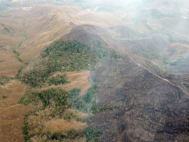 从高空往下看，亚马逊雨林因大火而烟雾弥漫，巴西军队周六开始到火场扑救。（欧新社）