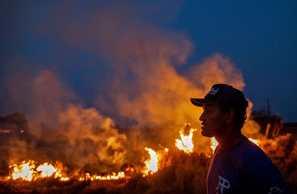 在巴西北部的马托格罗索州，一名劳工周五站在高速公路边望向大火狂烧的亚马逊雨林。（法新社）