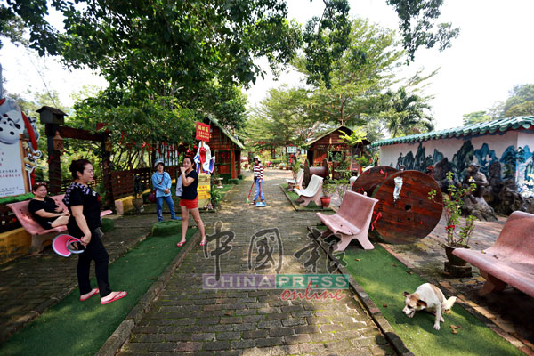 流浪狗出现在石哪督庙的景点区内，对游客带来干扰。