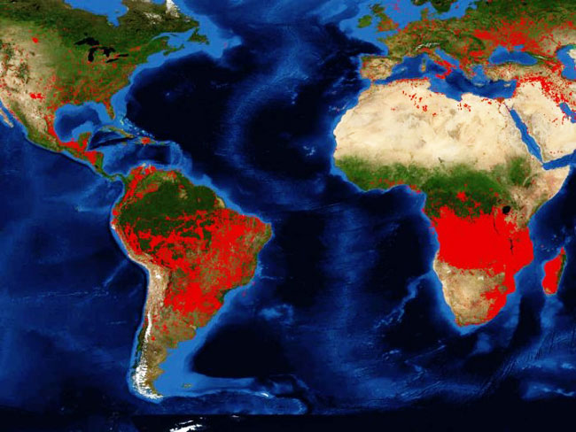 美国太空总署25日公布的卫星图像，中非地区的野火明显比亚马逊更密集。
