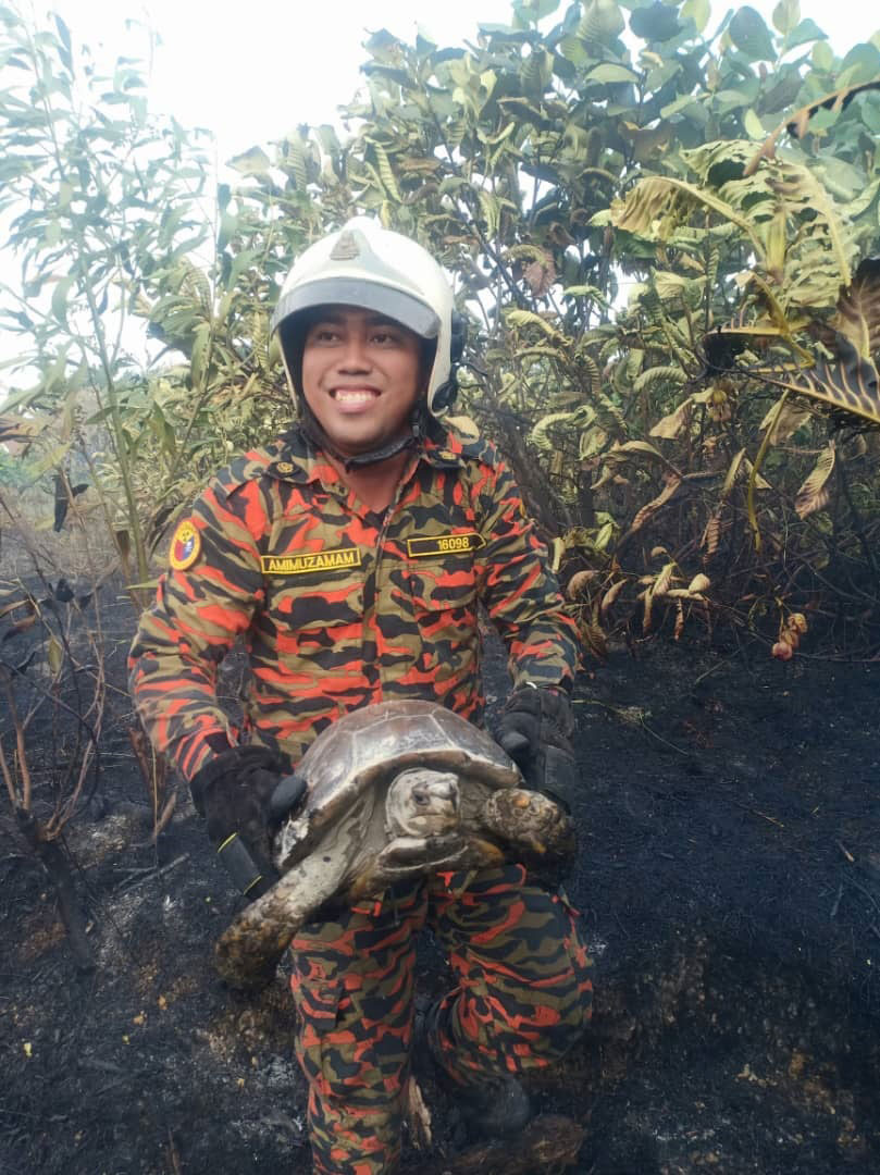 该乌龟重达3至4公斤，被弃在丛林。