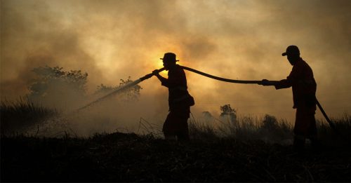 印尼林火风向转变 逾千人患呼吸疾病