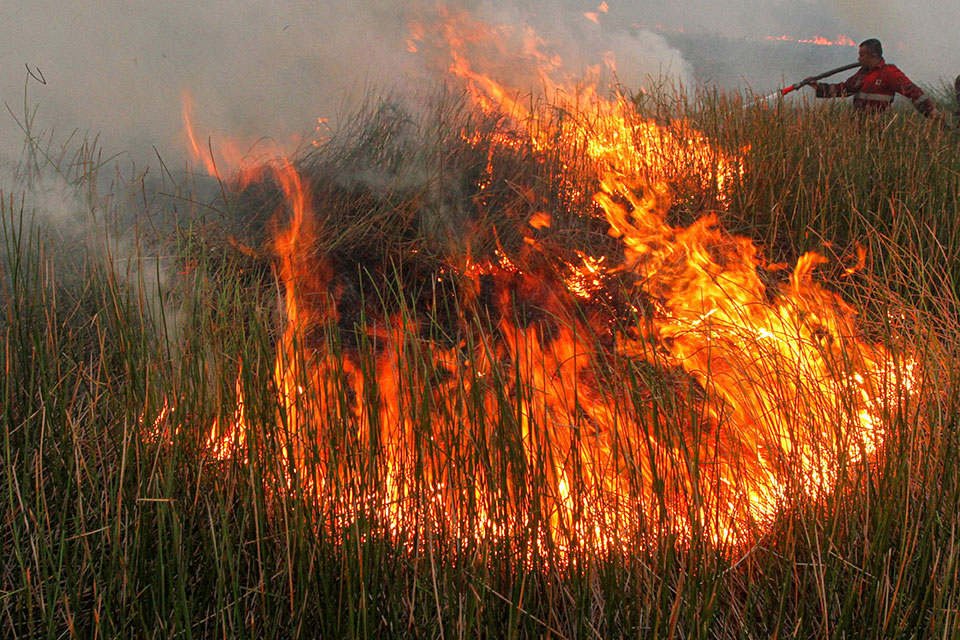奥干伊利尔区的泥炭地森林，燃起熊熊烈火。（法新社)
