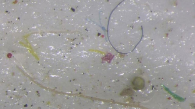科学家在穿越加拿大北极群岛的西北航道收集冰芯样本，当中发现塑料微粒。