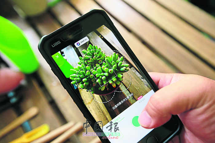 想要知道自己栽种的植物名称？Ben推介一个名为“形色”的手机app，虽然未必百分百准确，但至少也是一个增长植物知识的平台。
