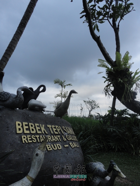 肮脏鸭餐厅Bebek Tepi Sawah坐落在一片稻田之间。
