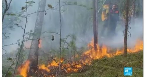 西伯利亚野火延烧 2天吞噬40万公顷林地