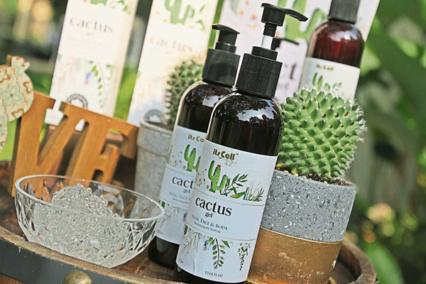 itsColl Cactus Gel 适用于脸部、头发及身体。