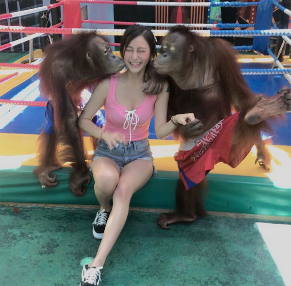两只人猿一起给Stella送上一吻。