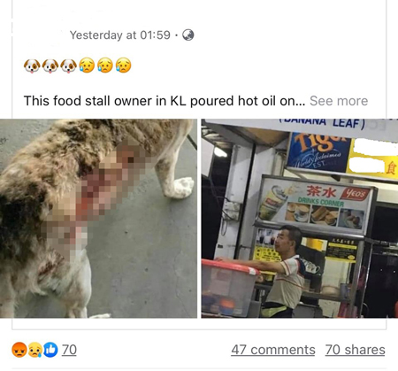 有心人盗用台湾虐狗的照片，诬衊小贩虐狗。