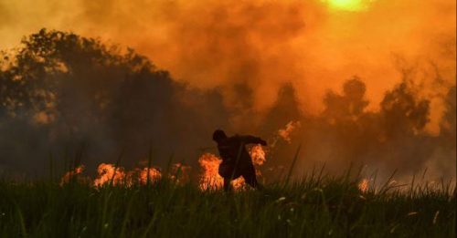 ◤煙霾來了◢ 雲頂種植印尼子公司涉燒芭   集團或受對付