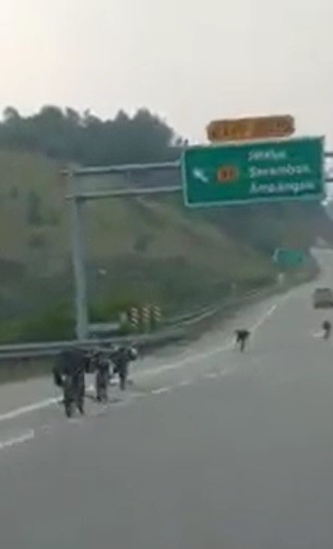 视频画面显示，蚊子脚车党在加芙大道上奔驰，并途经驶出暗邦岸的路口。