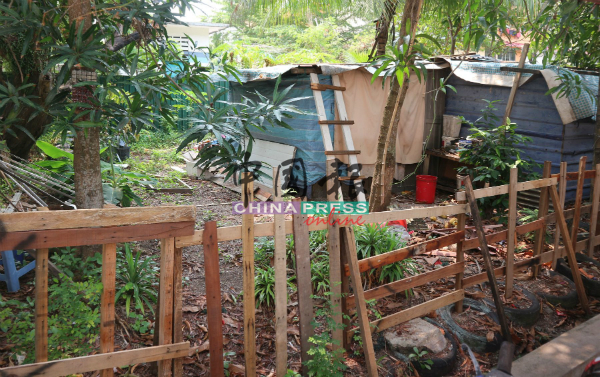 小屋周围还用木架做篱笆，禁止旁人进入。