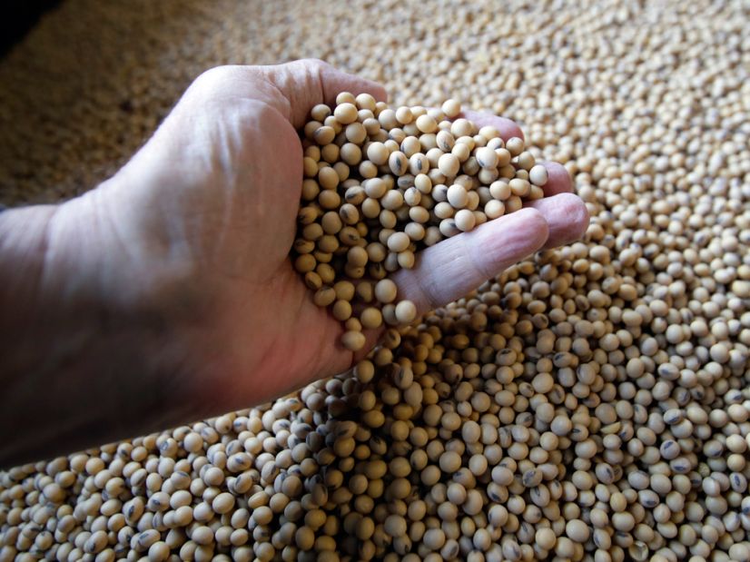 中国对美国新购大豆等农产品暂停加征关税。