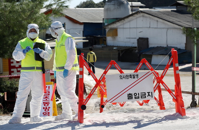 韩国防疫人员周一在金浦市，封锁新传出非洲猪瘟的养猪场。