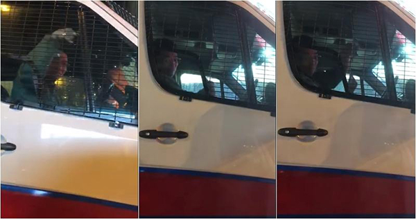 从阿芝拍摄的片段可见，警车上的车长疑对镜头举中指及做不文手势。（卓韵芝facebook片段截）