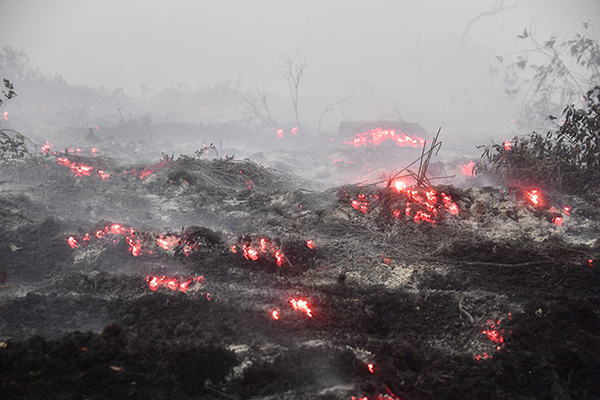 廖内省甘帕市的一片泥炭地，仍有火苗在燃烧，火势难以熄灭。（法新社）