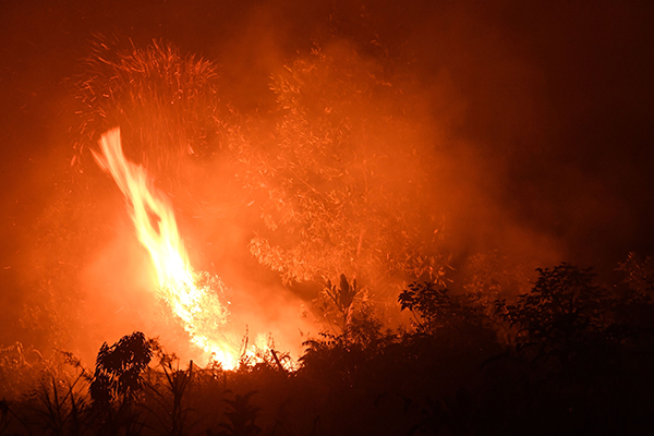 廖内省甘帕市的一片农地，周一被大火燃烧，熊熊火光非常骇人。（法新社）