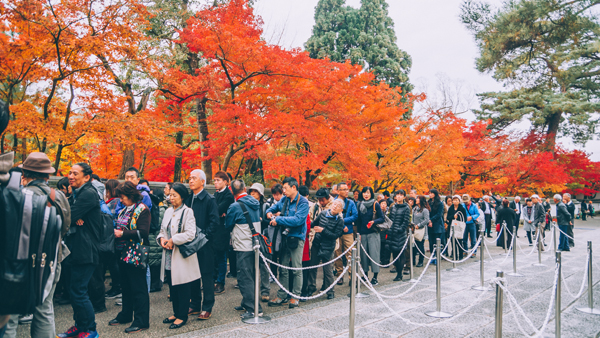 永观堂作为人气最旺的红叶名所之一，寺院的售票处一大早就吸引了长长的人龙。