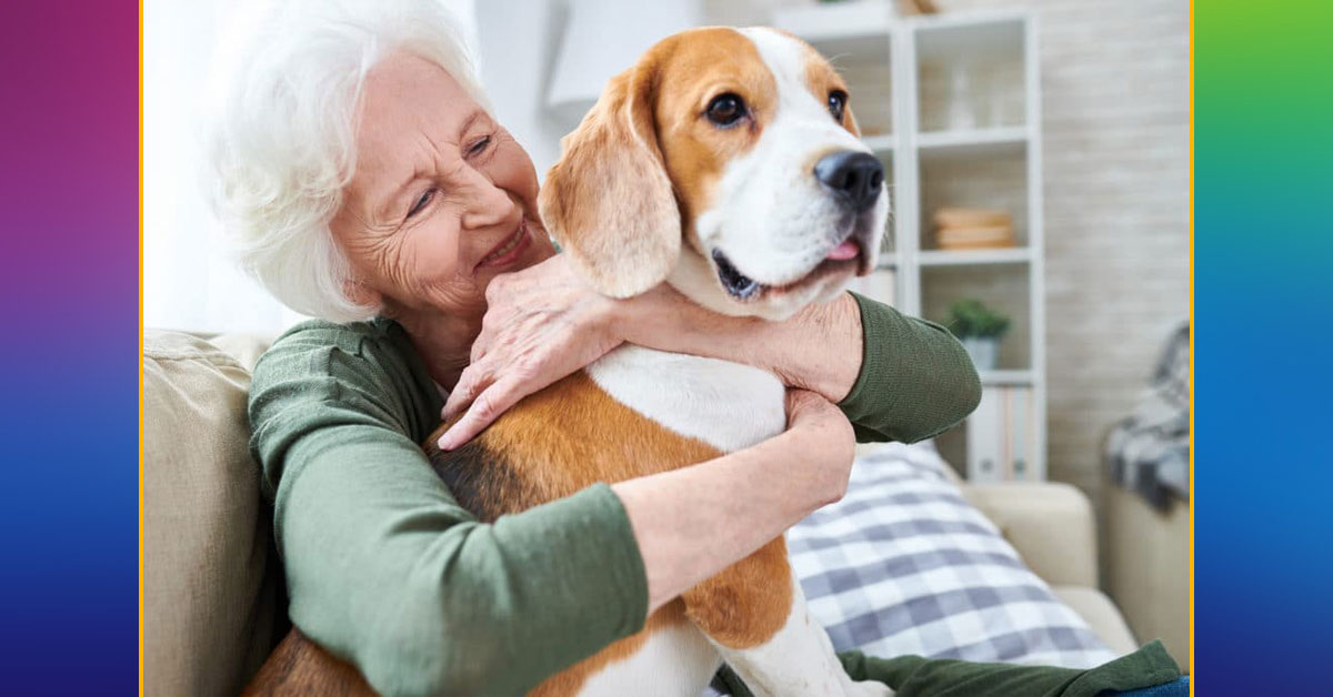 研究显示，养狗能有效帮助心血管疾病患者改善身体健康。（互联网示意图）