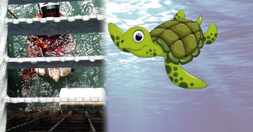 海龟卡发电站水闸口   消拯员下海拯救