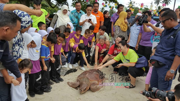 居民及小孩好奇的触摸母龟。