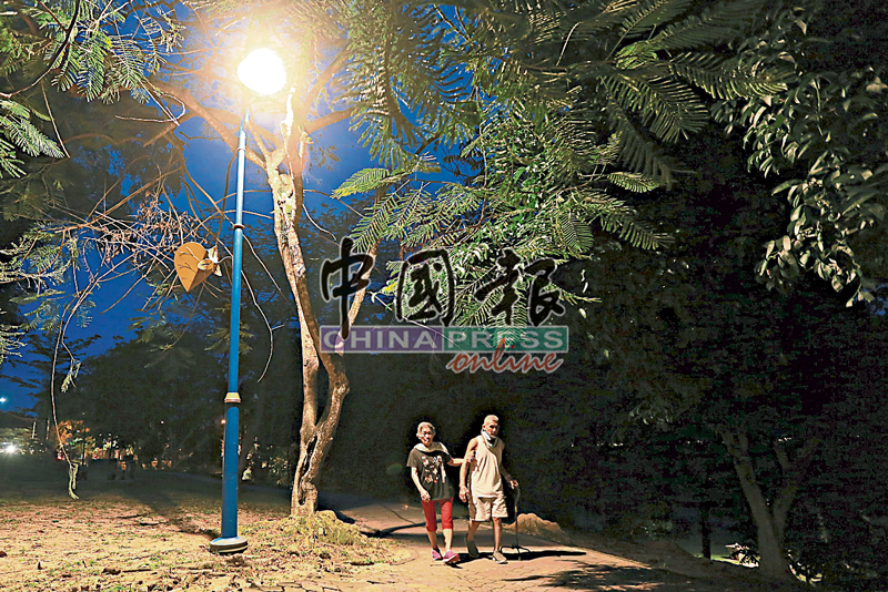 芙蓉皇家山湖滨公园夜间有灯光照明；一般在天色转暗后，到访公园的民众稀少。