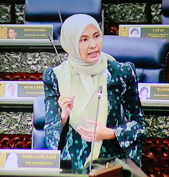 努鲁依莎希望，议长能协助推动男性国会议员穿峇迪服装。