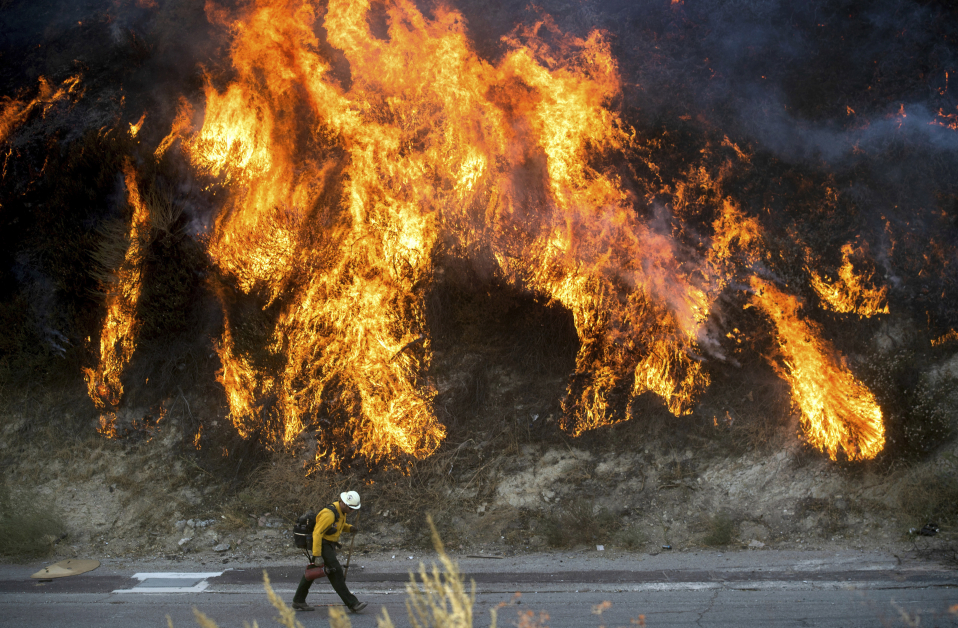 加州纽霍可见林火肆虐。