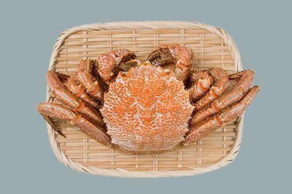 北海道毛蟹是著名的日本名贵食材。