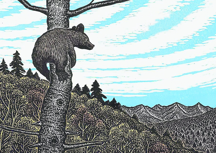 手岛圭三郎所画的小棕熊，在第一次登高望远时，眼里流露了好奇的神情。