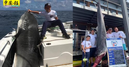 捕获314公斤虎鲨 8岁男童或破世界纪录
