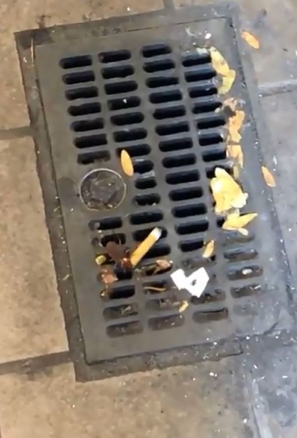 美国纽约一名网友日前走在街上时，发现“吸烟蟑螂”。（推特）