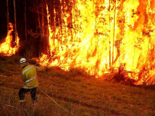 麦夸里港区林火烧不停。