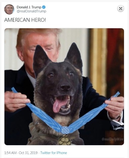 特朗普在推特上贴出合成照，把2017年他颁发勋章给越战军医的照片，改成颁给参与突袭巴格达迪行动的受伤军犬，帖文中写着“美国英雄”。